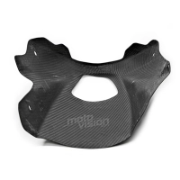 Sabot carbone triumph street triple 2007-2012