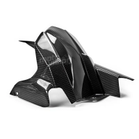 Lèche roue carbone kawasaki z900 2017-...