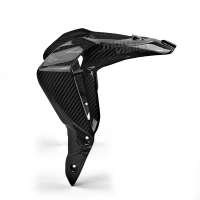 Rallonge de garde boue carbone vernis mv agusta brutale 800 2016-..