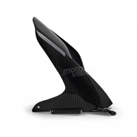 Lèche roue carbone pour bmw s1000rr 2019-2022 - s1000r 2021-
