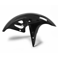Garde boue carbone vernis yamaha r25