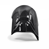 Lèche roue carbone vernis pour ktm duke 790 2018-2020