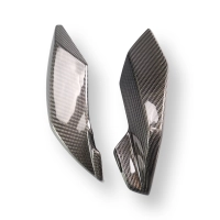Caches latéraux de tête de fourche carbone bmw s1000r 2021- m1000r 2023-