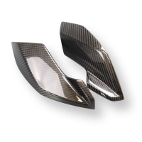 Caches latéraux de tête de fourche carbone bmw s1000r 2021- m1000r 2023-