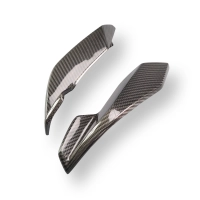 Caches latéraux de tête de fourche carbone bmw s1000r 2021- m1000r 2023-