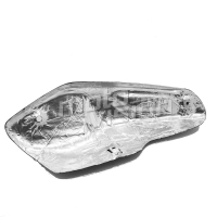 Pare chaleur de silencieux carbone triumph tiger gt/gt pro/rally/rally pro 900 2020-