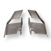 Paire d'ailerons carbone pour bmw s1000r 2023-/m1000r 2023-