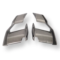 Paire d'ailerons carbone pour bmw s1000r 2023-/m1000r 2023-