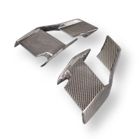 Paire d'ailerons carbone pour bmw s1000r 2023-/m1000r 2023-