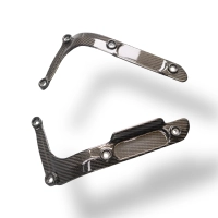 Flancs de garde boue carbone harley davidson sportster s 1250 2021-