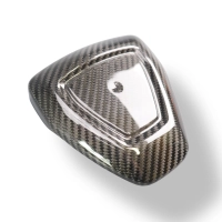 Cache sous réservoir carbone harley davidson sportster s 1250 2021-