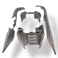 Sabot carbone harley davidson sportster s 1250 2021-