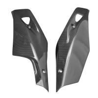Carbon-heck-seitenverkleidung-fuer-bmw-r1200r-2015-1400038-carbon-fiberglas--leinwand--glossy-2-1674266.jpg