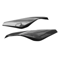 Paire de flancs de selle carbone bmw r1250rs 2019-