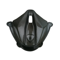 Bulle carbone ducati panigale v4/v4s 2025