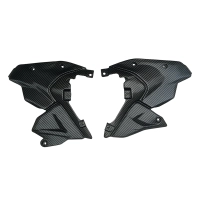 Petit flanc carbone ducati streetfighter v2 2025-2026