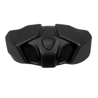 Tête de fourche carbone ducati streetfighter v4 2025-2026