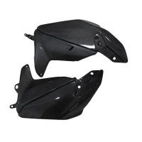 Flancs latéraux carbone ducati streetfighter v4 2025-2026