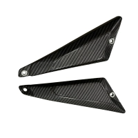 Flancs latéraux de coque arrière carbone bmw 1300gs adv 2024-2026