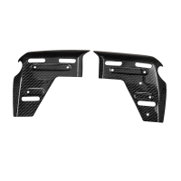 Flancs latéraux carbone bmw 1300gs adv 2024-2026