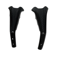 Cache moteur carbone bmw 1300gs /1300gs adv 2024-2026