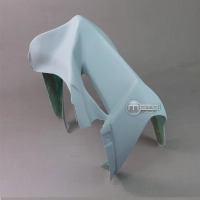 Carénage avant poly racing piste ducati panigale 1199