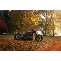 Garde-boue avant personnalisé "avenger" softail m8 fxdr 114 2019-2020