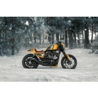 Becquet de menton sous le cadre sportster