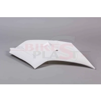 Flanc gauche poly bikesplast ducati v4 r 2019 - 2020