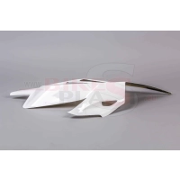 Flanc gauche poly bikesplast ducati v4 r 2019 - 2020