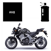 Peinture en spray kawasaki ebony z750 2004-2011