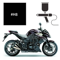 Peinture kawasaki ebony z1000 2009-2012