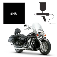 Peinture kawasaki ebony vn2000 2005-2007