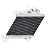 Radiateur gauche aluminium pour ducati diavel 2011-2018