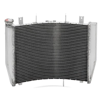 Radiateur aluminium pour kawasaki zzr 1400 2012-2020/gtr 1400 2008-2016