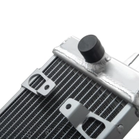 Radiateur aluminium pour triumph bonneville t100 900/street twin/scrambler/cup/thruxton 2016-2020