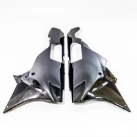 Sabot en deux parties  carbone brillant bmw s1000rr 2015 - 2016