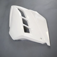 Flanc gauche poly sebimoto kawasaki ninja 300 2015-