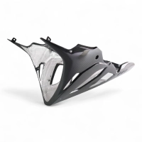 Sabot carbone bmw s1000rr 2023-