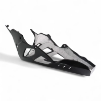 Sabot carbone bmw s1000rr 2023-