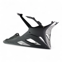 Sabot carbone bmw s1000rr 2023-