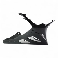 Sabot carbone bmw s1000rr 2023-