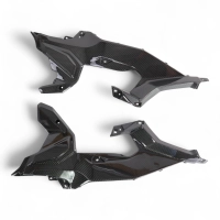 Caches sous flancs de selle carbone bmw f900xr 2020-