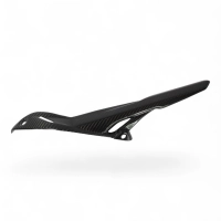 Guide chaine carbone ducati monster 937/950 stealth 2021-