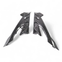 Flancs de carénage carbone bmw s1000rr 2023-