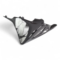Sabot carbone bmw s1000rr 2023-