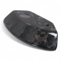 Cache moteur carbone pour kawasaki h2