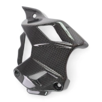 Cache pignon carbone mv agusta brutale dragster