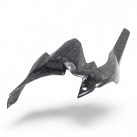 Lèche roue carbone kawasaki ninja h2 2015-...