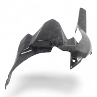 Lèche roue carbone kawasaki ninja h2 2015-...